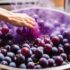 Making Muscadine Wine: A Step-by-Step Guide