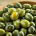 Is Olive a Fruit or Vegetable? Unveil the Truth